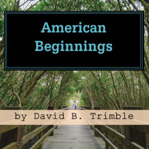 American Beginings by David B Trimble (PDF, Digital Download)